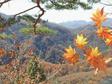 時(shí)尚潮流男生動態(tài)頭像，展現(xiàn)個(gè)性化風(fēng)采