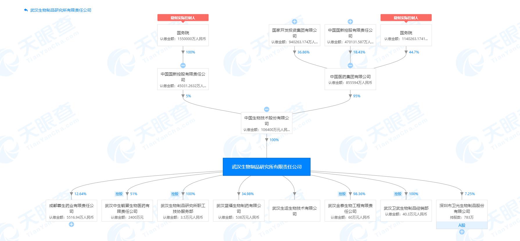 網(wǎng)易最新股權(quán)變動，時代的見證與未來展望