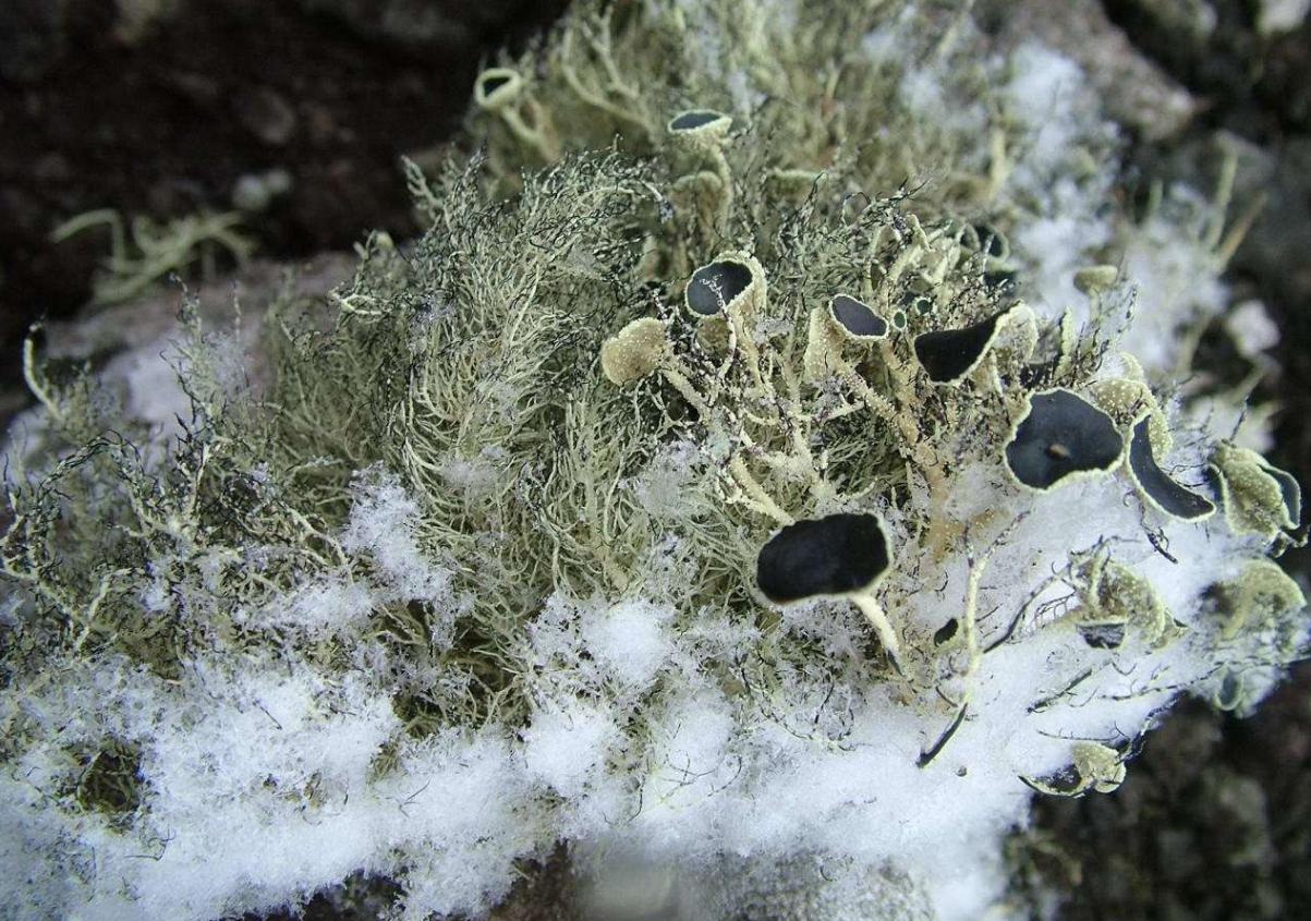 生物科技前沿突破