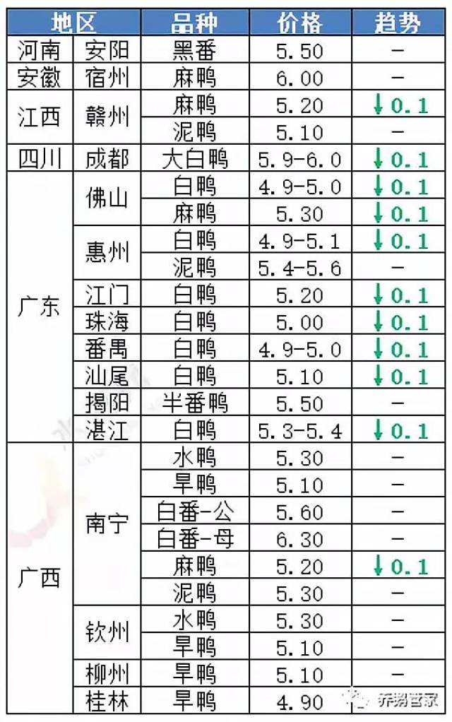 毛鴨最新行情