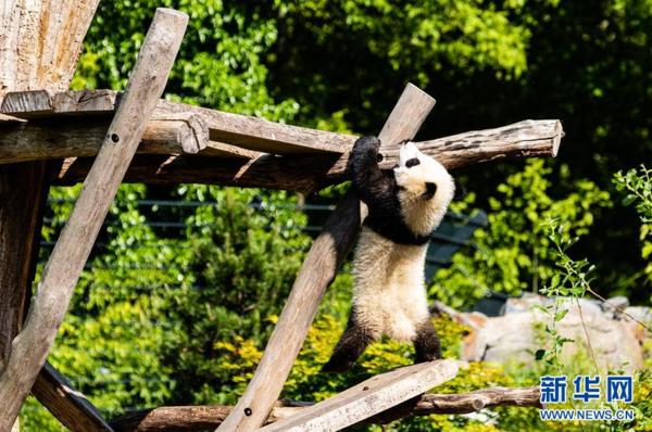 五月疫情動(dòng)態(tài)下的科技新星，智能科技守護(hù)生活新體驗(yàn)