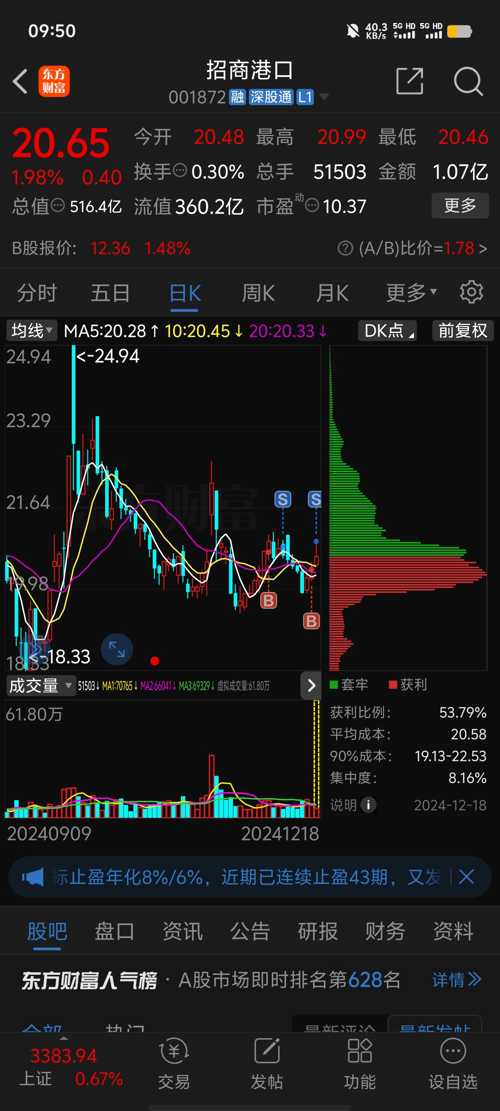 招商港口股票，價值與前景深度探討