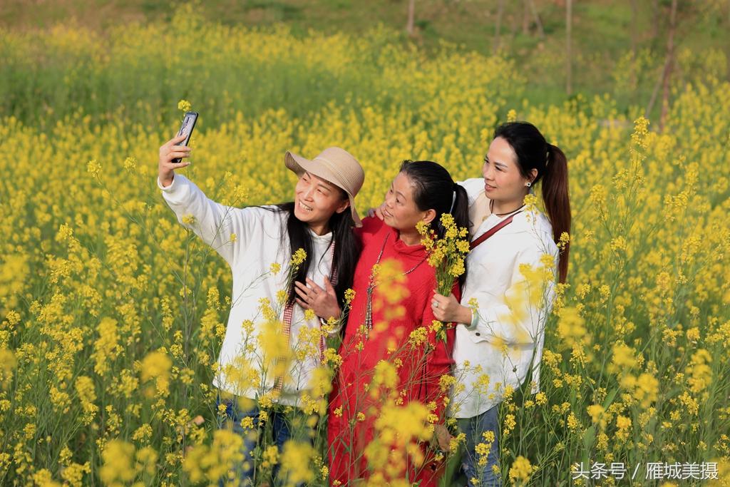 衡陽美美世界最新動(dòng)態(tài)及相關(guān)論述深度解析