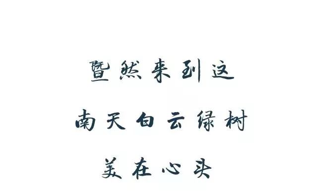 樊小純 三行情書(shū)